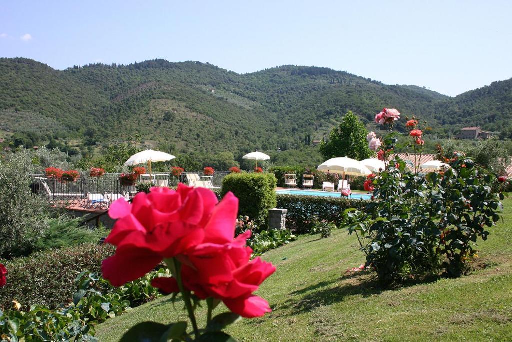 Agriturismo Cortoreggio Cortona Exterior photo