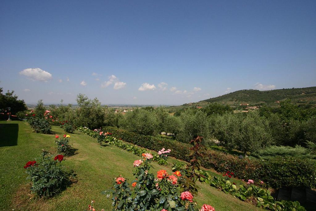 Agriturismo Cortoreggio Cortona Exterior photo