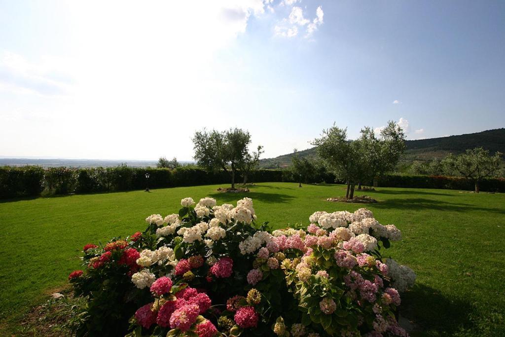Agriturismo Cortoreggio Cortona Exterior photo